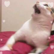 ヒメ日記 2024/12/25 10:45 投稿 しいな 千葉人妻花壇