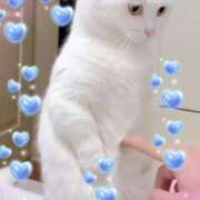 ヒメ日記 2024/12/26 09:38 投稿 しいな 千葉人妻花壇