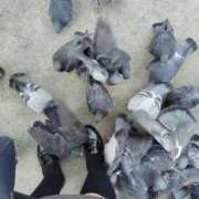 ヒメ日記 2025/01/23 15:37 投稿 しいな 千葉人妻花壇