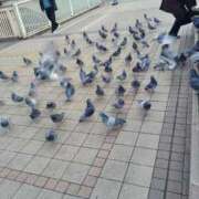 ヒメ日記 2025/02/07 12:04 投稿 しいな 千葉人妻花壇