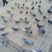 ヒメ日記 2025/02/10 02:10 投稿 しいな 千葉人妻花壇