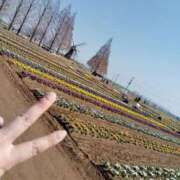 ヒメ日記 2025/03/24 03:27 投稿 しいな 千葉人妻花壇