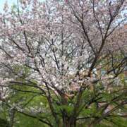 ヒメ日記 2025/04/30 11:43 投稿 のりこ 札幌淫ら妻