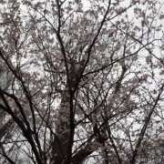 ヒメ日記 2025/05/07 11:46 投稿 のりこ 札幌淫ら妻