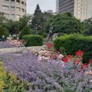 ヒメ日記 2025/07/02 11:34 投稿 のりこ 札幌淫ら妻