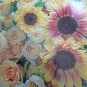 ヒメ日記 2025/08/06 17:13 投稿 のりこ 札幌淫ら妻