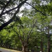 ヒメ日記 2025/08/20 11:57 投稿 のりこ 札幌淫ら妻