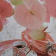 のりこ おはようございます 札幌淫ら妻