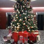 ヒメ日記 2025/12/24 11:38 投稿 のりこ 札幌淫ら妻