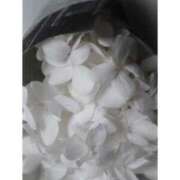 ヒメ日記 2025/03/31 01:41 投稿 せん 渋谷とある風俗店♡やりすぎコレクション