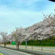 ヒメ日記 2025/04/12 00:51 投稿 せん 渋谷とある風俗店♡やりすぎコレクション