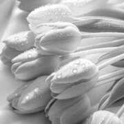 ヒメ日記 2025/04/27 21:01 投稿 せん 渋谷とある風俗店♡やりすぎコレクション