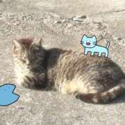 ヒメ日記 2025/03/14 15:41 投稿 そら ハンドキャンパス池袋