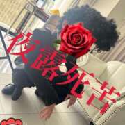 ヒメ日記 2025/05/29 19:16 投稿 そら ハンドキャンパス池袋