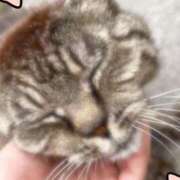 ヒメ日記 2025/09/28 16:09 投稿 そら ハンドキャンパス池袋