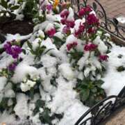 ヒメ日記 2026/02/08 17:45 投稿 そら ハンドキャンパス池袋