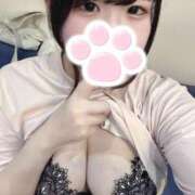 ヒメ日記 2025/05/29 14:56 投稿 ちょこ ぽちゃSPA