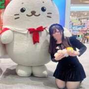 ヒメ日記 2025/11/24 23:12 投稿 ちょこ ぽちゃSPA