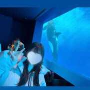 ヒメ日記 2026/01/15 13:00 投稿 ちょこ ぽちゃSPA