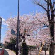 ヒメ日記 2026/04/05 11:28 投稿 ちょこ ぽちゃSPA