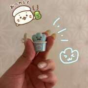 ちょこ 本日もありがとうございました🐚 ぽちゃSPA