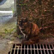 ヒメ日記 2025/01/08 15:30 投稿 ユリ 沖縄素人図鑑