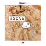 ヒメ日記 2025/01/02 08:51 投稿 Honey【ハニー】 Evolution1st キタ兎我野店