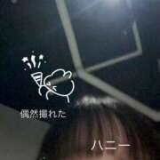 ヒメ日記 2025/01/18 09:21 投稿 Honey【ハニー】 Evolution1st キタ兎我野店