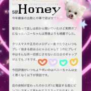 ヒメ日記 2025/02/14 17:55 投稿 Honey【ハニー】 Evolution1st キタ兎我野店