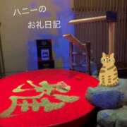 ヒメ日記 2025/02/19 15:02 投稿 Honey【ハニー】 Evolution1st キタ兎我野店