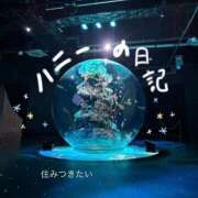 ヒメ日記 2025/02/20 12:33 投稿 Honey【ハニー】 Evolution1st キタ兎我野店