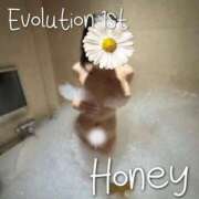 ヒメ日記 2025/05/31 10:02 投稿 Honey【ハニー】 Evolution1st キタ兎我野店