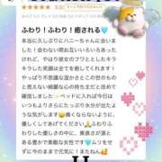 ヒメ日記 2025/11/23 14:02 投稿 Honey【ハニー】 Evolution1st キタ兎我野店