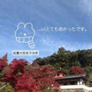 ヒメ日記 2025/12/02 14:18 投稿 Honey【ハニー】 Evolution1st キタ兎我野店