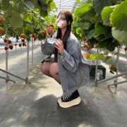 ヒメ日記 2025/03/30 13:41 投稿 ☆のん☆ Evolution1st キタ兎我野店