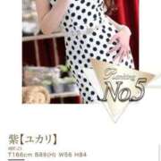 ヒメ日記 2025/08/02 18:51 投稿 紫【ユカリ】 Evolution1st キタ兎我野店