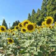 ヒメ日記 2025/08/20 15:41 投稿 Carly【キャリー】 Evolution1st キタ兎我野店