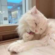 ヒメ日記 2025/09/24 11:21 投稿 Carly【キャリー】 Evolution1st キタ兎我野店