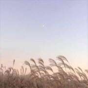 ヒメ日記 2025/10/29 14:51 投稿 Carly【キャリー】 Evolution1st キタ兎我野店