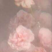 ヒメ日記 2025/11/14 11:41 投稿 Carly【キャリー】 Evolution1st キタ兎我野店