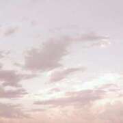 ヒメ日記 2026/02/10 14:51 投稿 Carly【キャリー】 Evolution1st キタ兎我野店