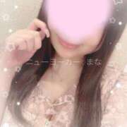 ヒメ日記 2025/05/08 08:33 投稿 まな ニューヨーカー