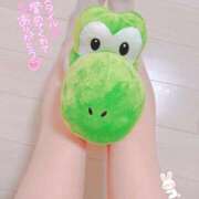 ヒメ日記 2025/01/10 00:18 投稿 あさ マーガレット