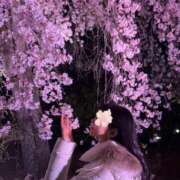 ヒメ日記 2025/04/03 01:52 投稿 森永　モカ アムアージュ