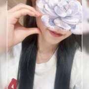 ヒメ日記 2025/06/24 07:32 投稿 森永　モカ アムアージュ