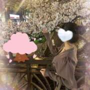 ヒメ日記 2026/04/13 14:22 投稿 森永　モカ アムアージュ