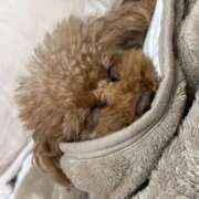 ヒメ日記 2025/02/09 18:52 投稿 なな 宮城♂風俗の神様 仙台店