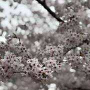 ヒメ日記 2025/04/16 15:52 投稿 なな 宮城♂風俗の神様 仙台店