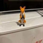 ヒメ日記 2025/04/23 04:02 投稿 なな 宮城♂風俗の神様 仙台店