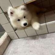 ヒメ日記 2025/04/28 15:42 投稿 なな 宮城♂風俗の神様 仙台店